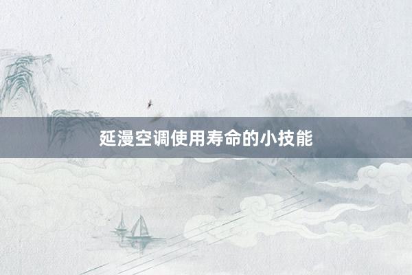 延漫空调使用寿命的小技能